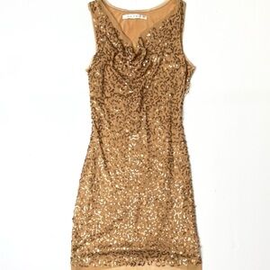 Max Studio Nude Mesh Sequin Pencil Dress Size Small
